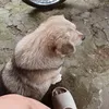 tgzr_19