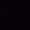 nal_zai1