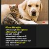 user7585761337371