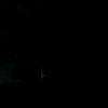 dani715p