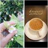 saqlain3869