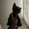 ndo_o22