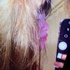 latinaaaa_1