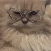 kittyaddict21