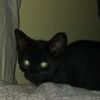 colin_lacasse