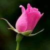user05729kcgm5