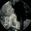 a_lia810