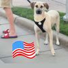boobuloveamerican