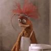 jannis_gme