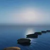 dilaver_beey