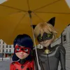 miraculerdeplantao01