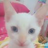 chouchouchouchou020