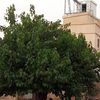 mohamedislam6532