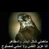 user5ijkqlqwa6