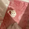 user.ayuta
