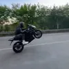 niko_on_black_r3