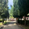 merazayid2