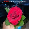 nooham53