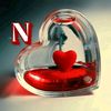 noor_81_