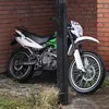 pantheravoddd_142
