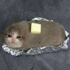 Buttered Cat