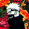 shadowovjr.r6