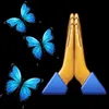wwwvenera1