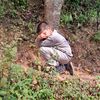 shila.neupane