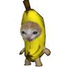 krvjfkrj