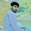 habibkhan3197