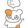 seo9998