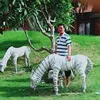 phanngoctan4
