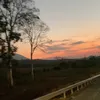 hwaniga_