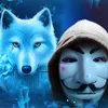 wolf_is_savage