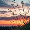 liya_0906