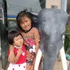 suhadasmile2526