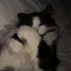 laki_bloczki
