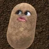 userpriv4cy