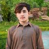 qashe.khan