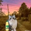 nikitasostka39274h