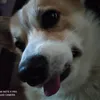 bbkuulo