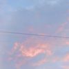 dasha_220213