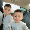 safsaf587
