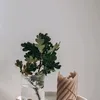 minh_tran339