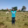 nettosantos462