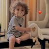 am_al2845