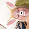 verinhajss
