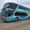 renato123641