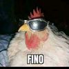 aliaspollofino