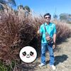 foor871